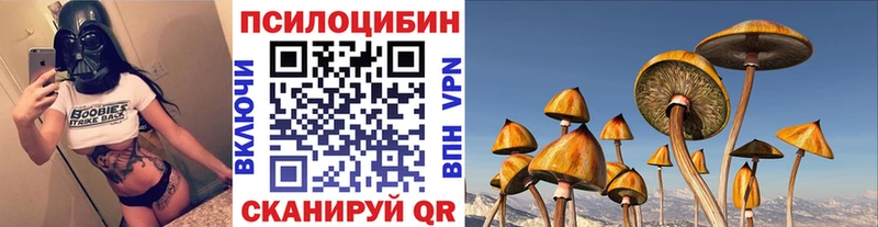 Галлюциногенные грибы мухоморы  Купить  Юрьев-Польский 